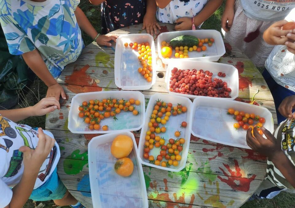 MPP : L’Archipel de Kembs : vivre et coopérer avec la nature au quotidien